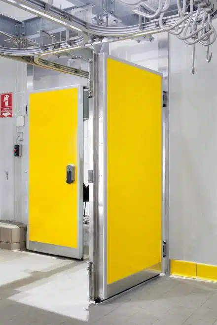 double-hinged-door