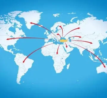 freezer room logistic