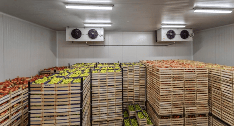 Mixed tropical fruit storage solution image