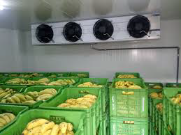 Banana ripening chamber image