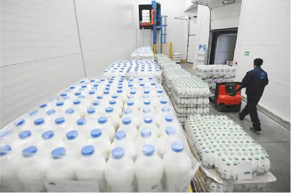 cold room for dairy