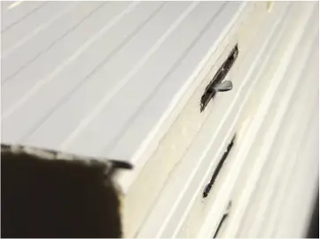 Sandviç Duvar Soğuk Oda Paneli Kliit