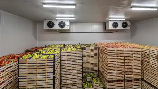 Perishable Goods Modular Cold-Room