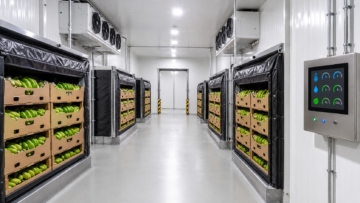 Commercial Banana Cold Room with forced-air ripening system and green banana pallets