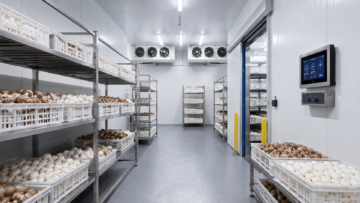 Commercial Mushroom Cold Storage Facility with packaged button mushrooms and industrial refrigeration equipment