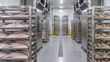 Illustrative Blast Freezer for Seafood with fish fillets and shrimp on separate stainless-steel tray racks.