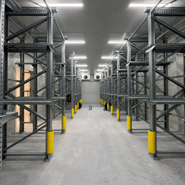 Denmark Onion Cold Room